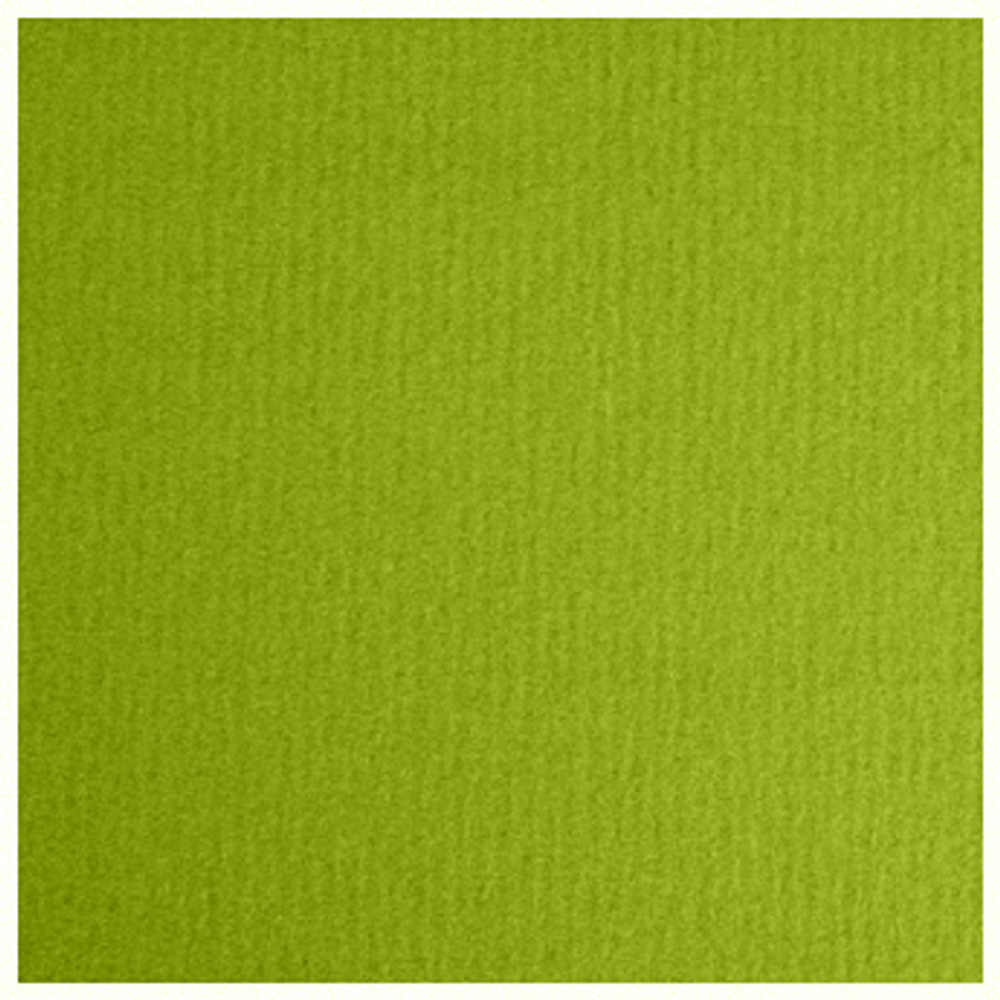 LANA Бумага для пастели «Lana Colours», 160 г/м², 21х29,7 см, 25 л, фисташковый