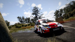 WRC 10 FIA World Rally Championship Deluxe Edition (для ПК, цифровой код доступа)