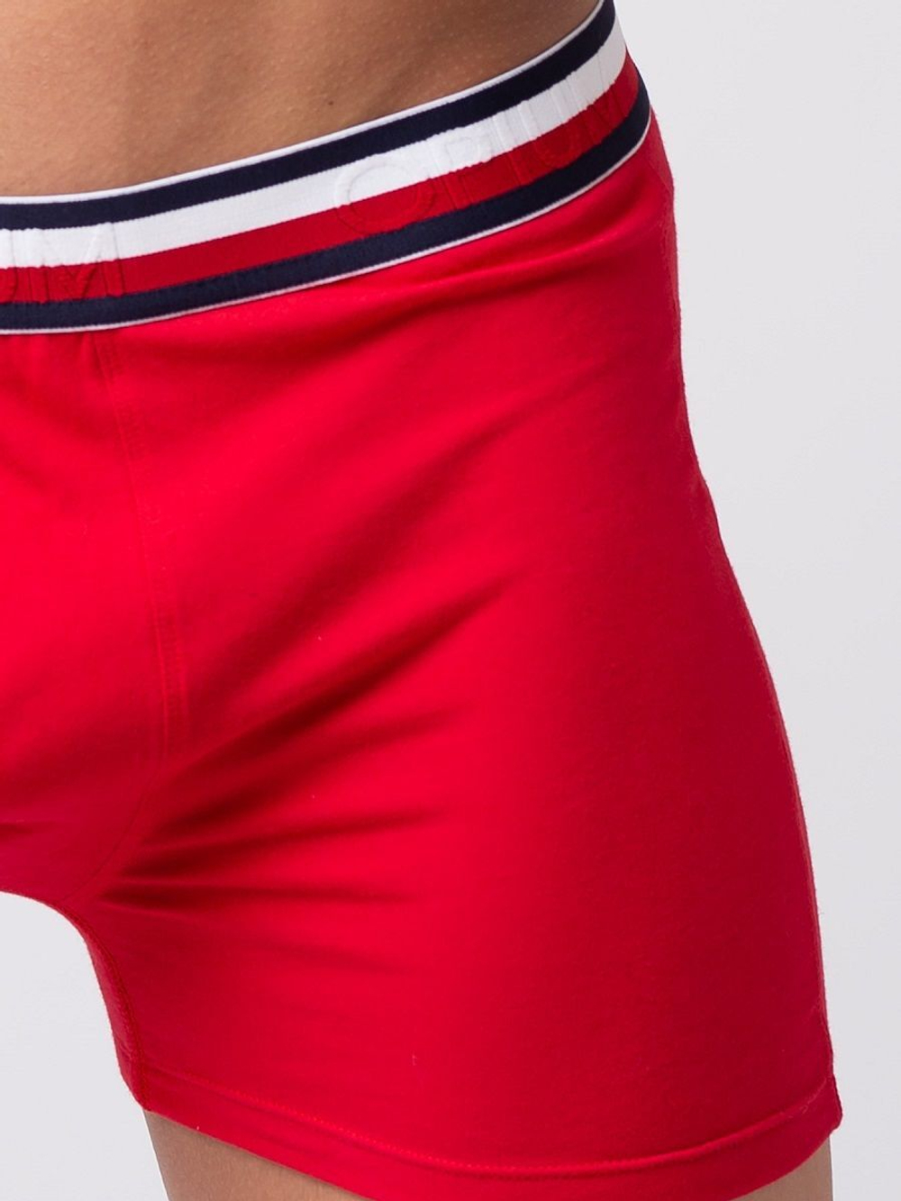 Мужские боксеры из мягкого хлопкового трикотажа с резинкой в полоску (Размер: XL) (Цвет: серый)