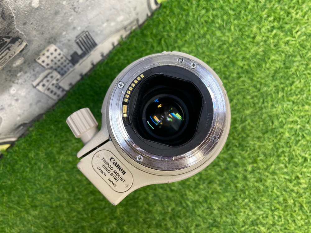 Canon EF 300mm 4L IS USM