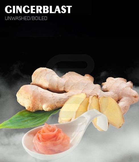 DarkSide - Gingerblast (100г)