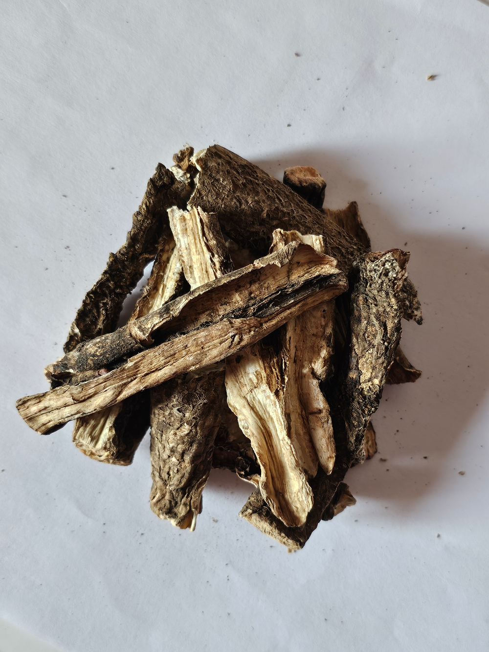 Лопух корень (осенний)