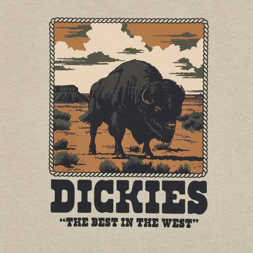 Футболка мужская Dickies Darrtown Short Sleeve Tee 