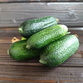 Огурцы свежие из Дагестана / 500 гр