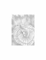 Холст на картоне с контуром BRAUBERG ART CLASSIC "МУЗА", 30х40см, грунтованный, хлопок, 191547