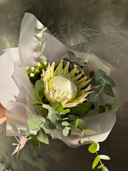 Букет-комплимент из протеи и эвкалипта