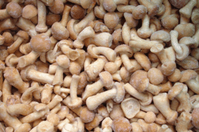 Опята намеко замороженные (вес)