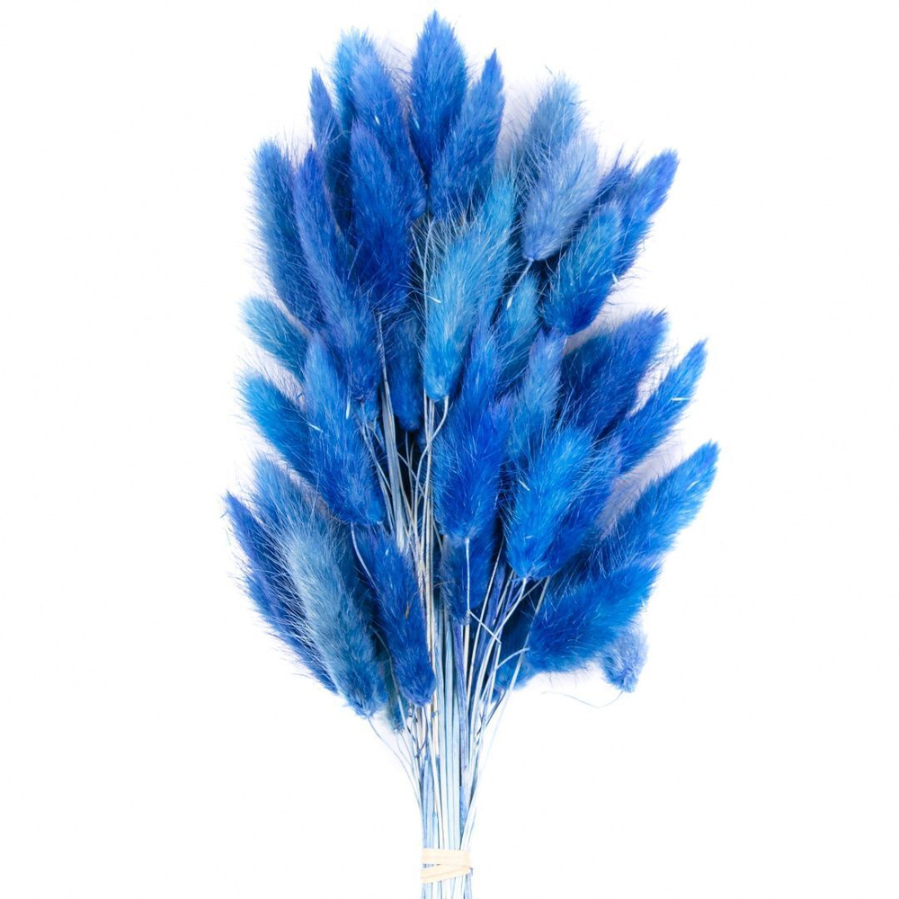 Сухоцветы ЛАГУРУС 65см 34гр ЯРКИЙ