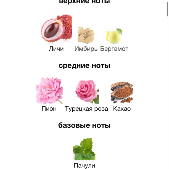 Louis Vuitton Attrape-Reves