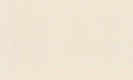 Rasch 1.06m*10m 983586 Novela Xl