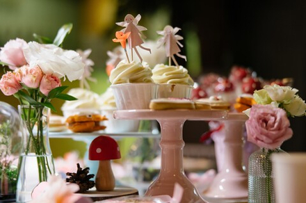 Fairy Party (video)