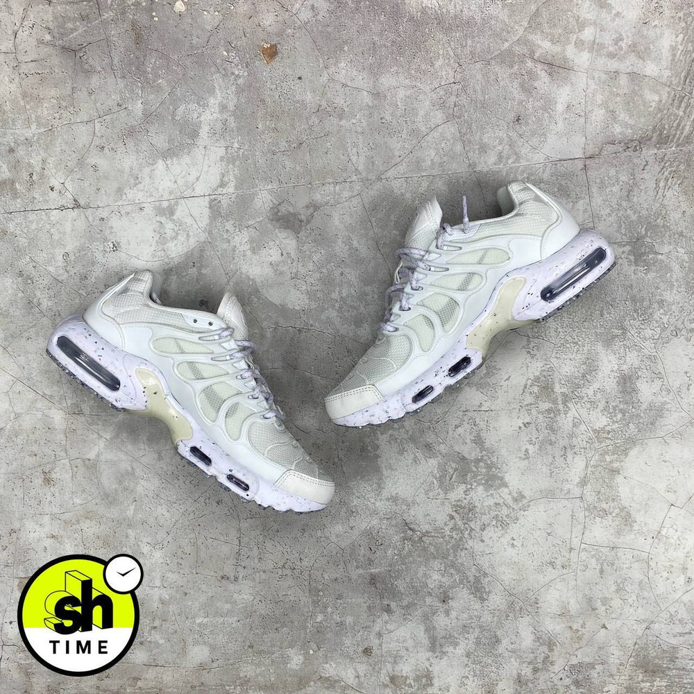 Кроссовки Nike Air Max Terrascape 90