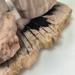 Набор из окаменелого дерева 4 предм Fossil Set NF-63284 поднос 149