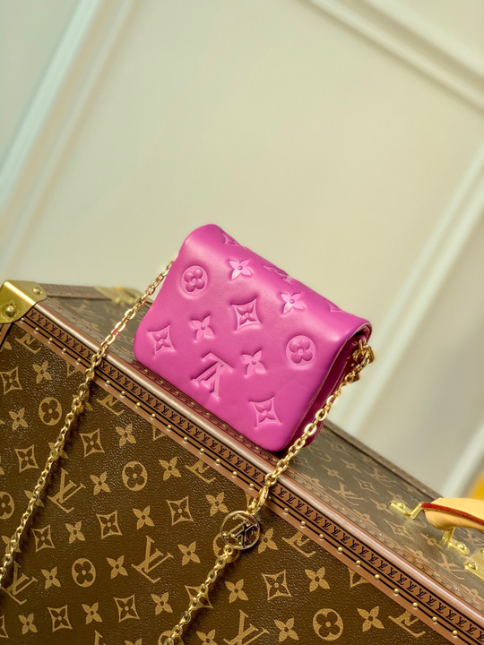 Louis Vuitton Beltbag Coussin