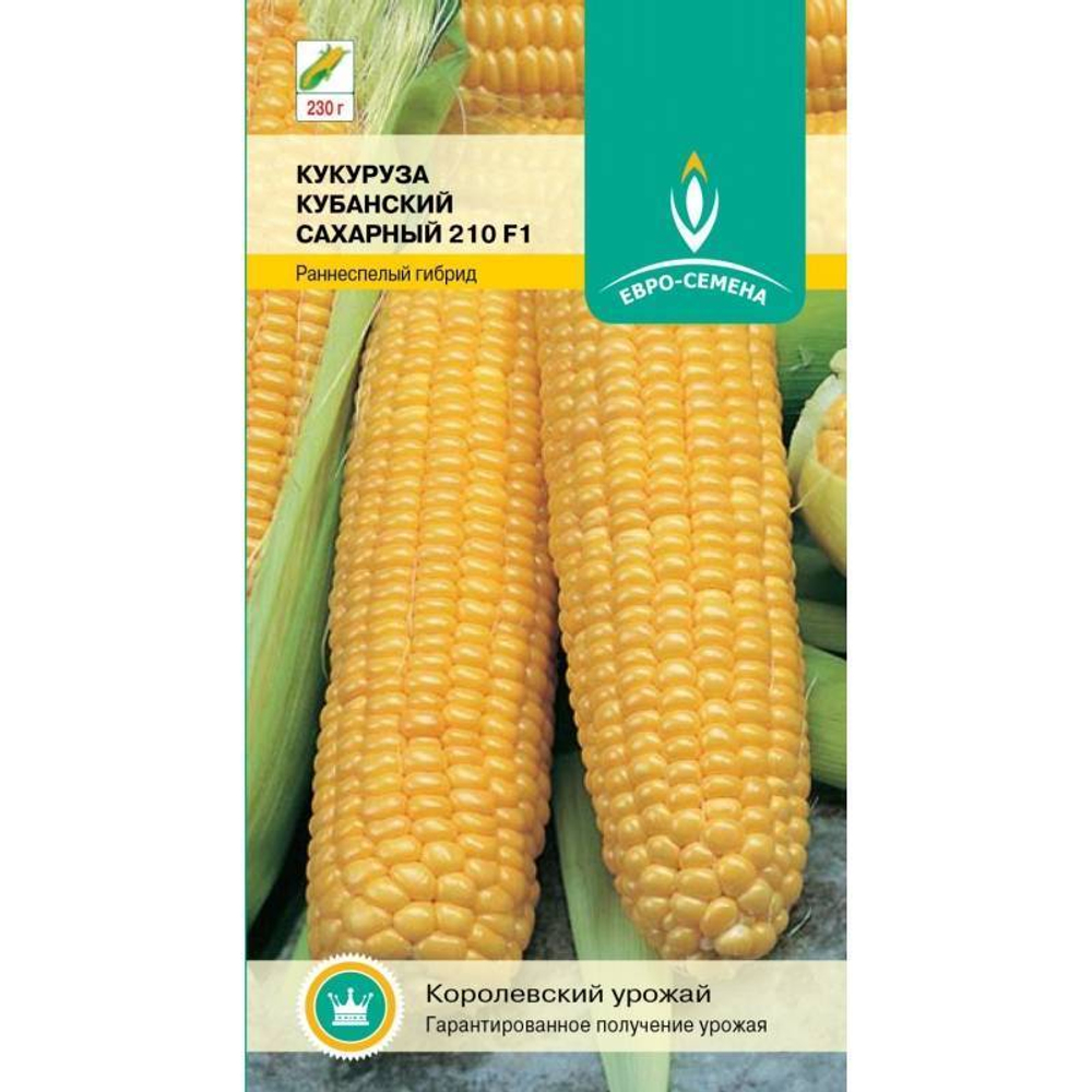 Кукуруза Кубанский сахарный 5 г. Ц ЕС