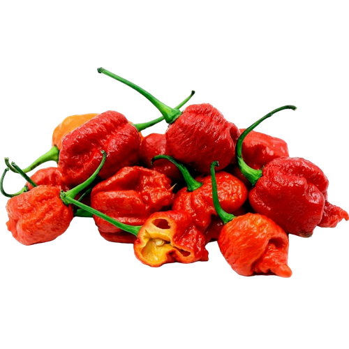 Каролина Рипер (Carolina Reaper) в ассортименте