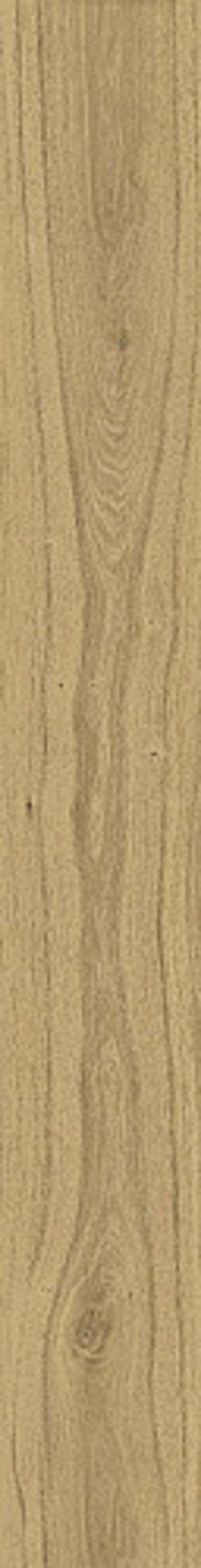 Керамогранит ATLAS CONCORDE RUSSIA RIVE Acqua Riva Ret 20x160 Матовая (610010002248) 9мм.