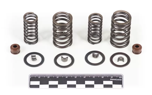 Ремонтный комплект клапанов 161QMK 200см3 с реверсом