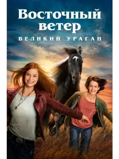 Восточный ветер 5: Великий ураган (2020) (DVD-R)