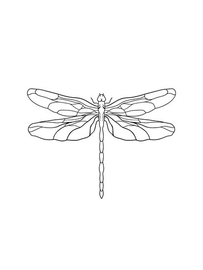 dragonfly