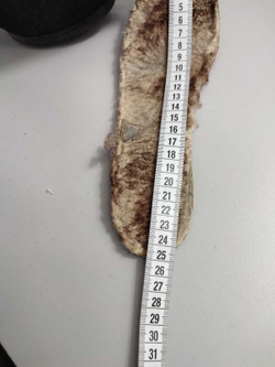 Сапоги кожаные 38 размер