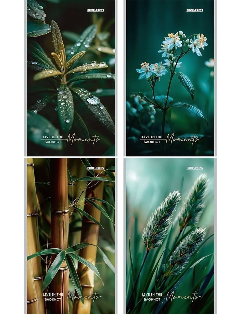 Блокнот А6 24л. "Растительная тема-1" (Б24-2998) ассорти, на скрепке (Проф-Пресс) Блокнот А6 24л. "Растительная тема-1" (Б24-2998) ассорти, на скрепке (Проф-Пресс)