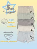 Боксеры для мальчика (5 штук в упаковке)