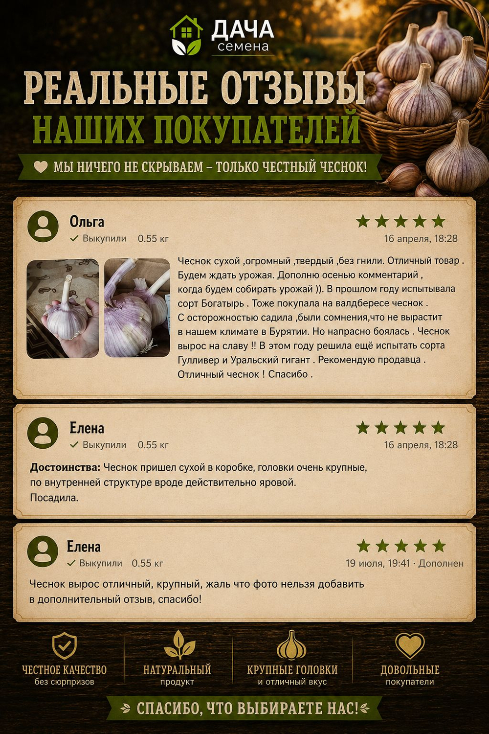 Семенной чеснок Григорий Комаров 300 г, озимый, посадочный материал для посадки, урожайный сорт
