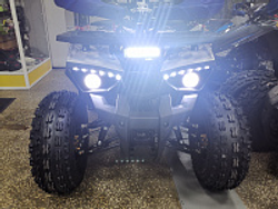 Квадроцикл PROMAX WILD 175 LUX