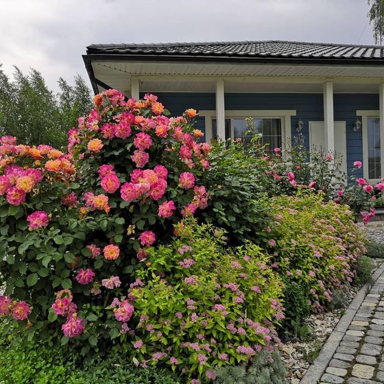 Одноэтажный дом 140 кв.м. на участке 16,5 соток