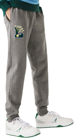 Мужские штаны теннисные Lacoste Men's Pennants L Badge Fleece Tracksuit Pants - grey