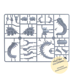 (2 in 1) Mawloc / Trygon