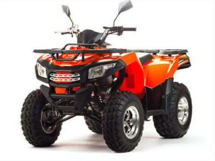 Квадроцикл MOTOLAND 200 MAX