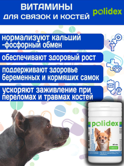 Кормовая добавка для профилактики нарушений обмена веществ, витаминной и минеральной недостаточности, укрепления костей и зубов у собак Polidex Поливит-Кальций плюс (Polidex),150т