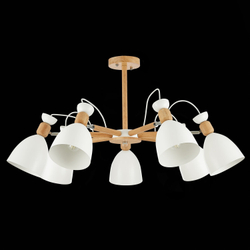 Светильник потолочный Evoluce Balcamo SLE103802-07