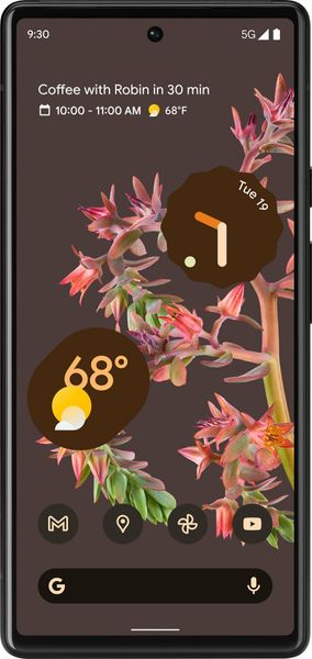 Смартфон Google Pixel 6 128GB Stormy Black, Черный (JP)