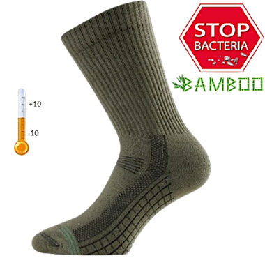 Носки Lasting TSR-620 +15°C +30°C Регулировка температуры (Лето) bamboo+polypropylene, темно-зеленый -