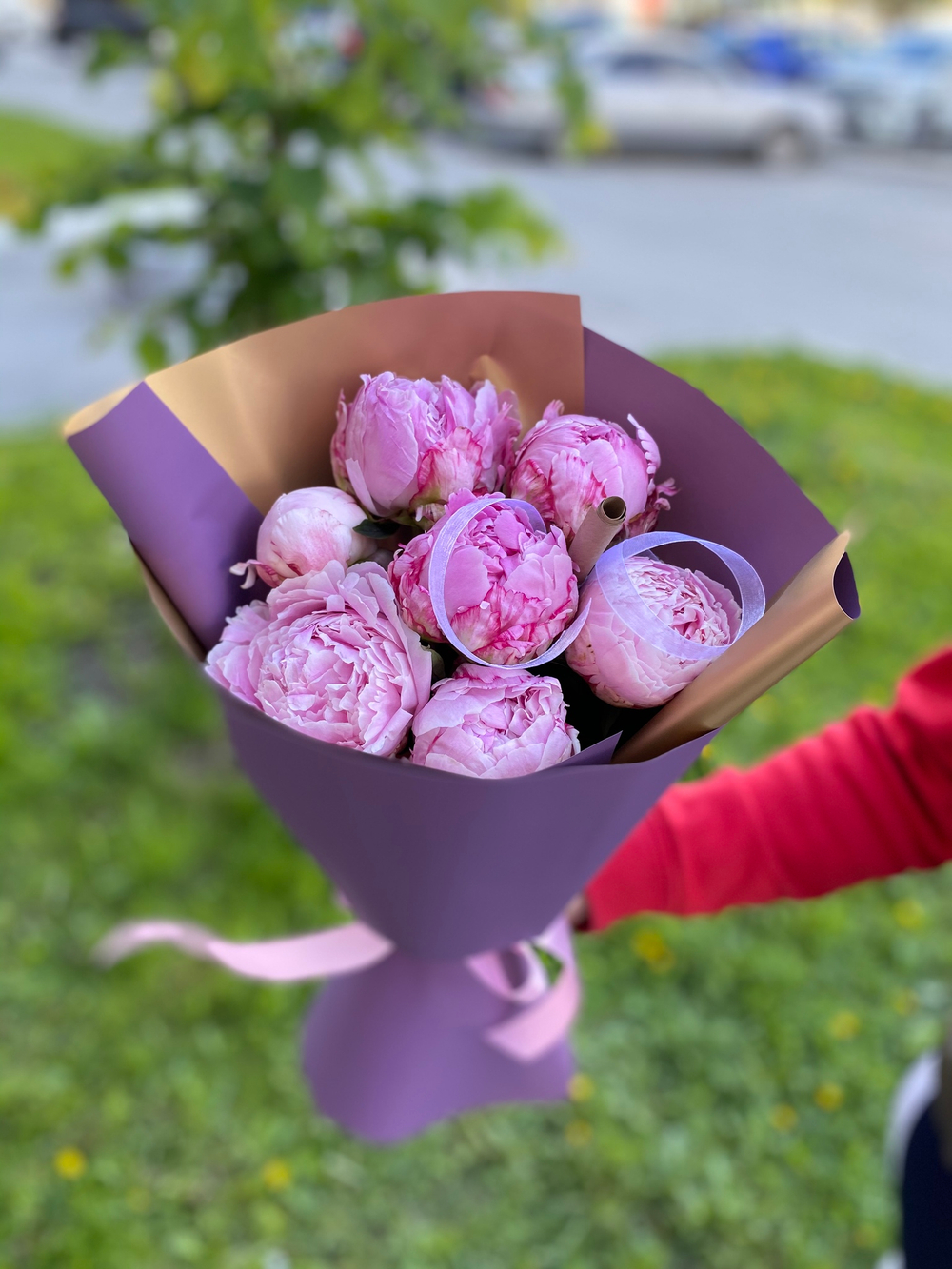 Букет из 7 пионов