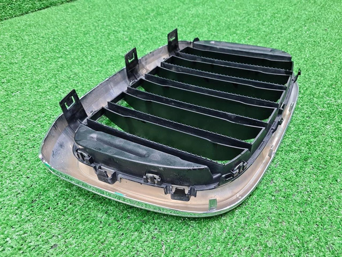 Решетка радиатора левая BMW X3 G01 X4 G02 (17-21)