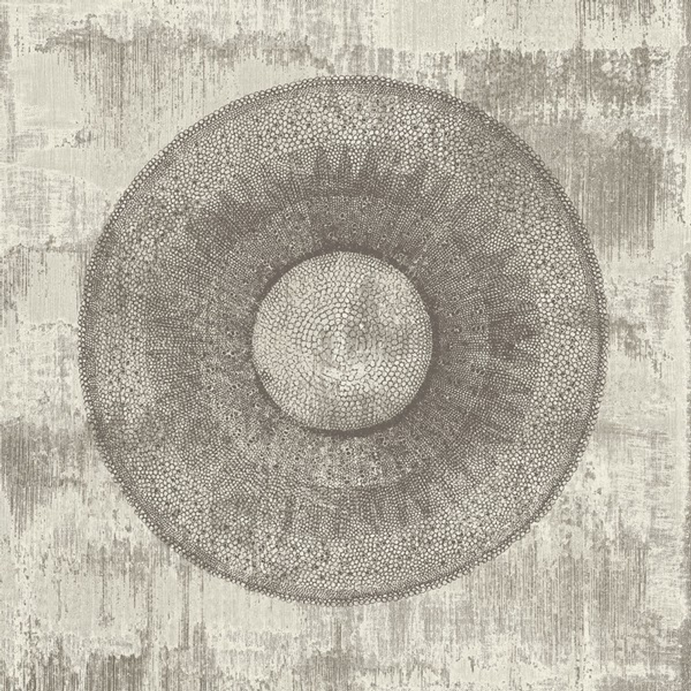 Панно Carl Robinson Edition 14 62000MB CR