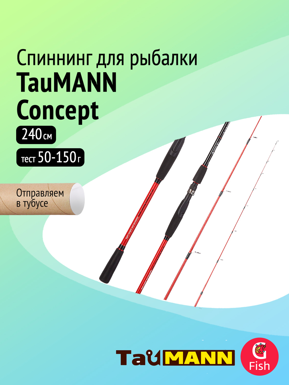 Спиннинг для рыбалки TauMANN Concept 210