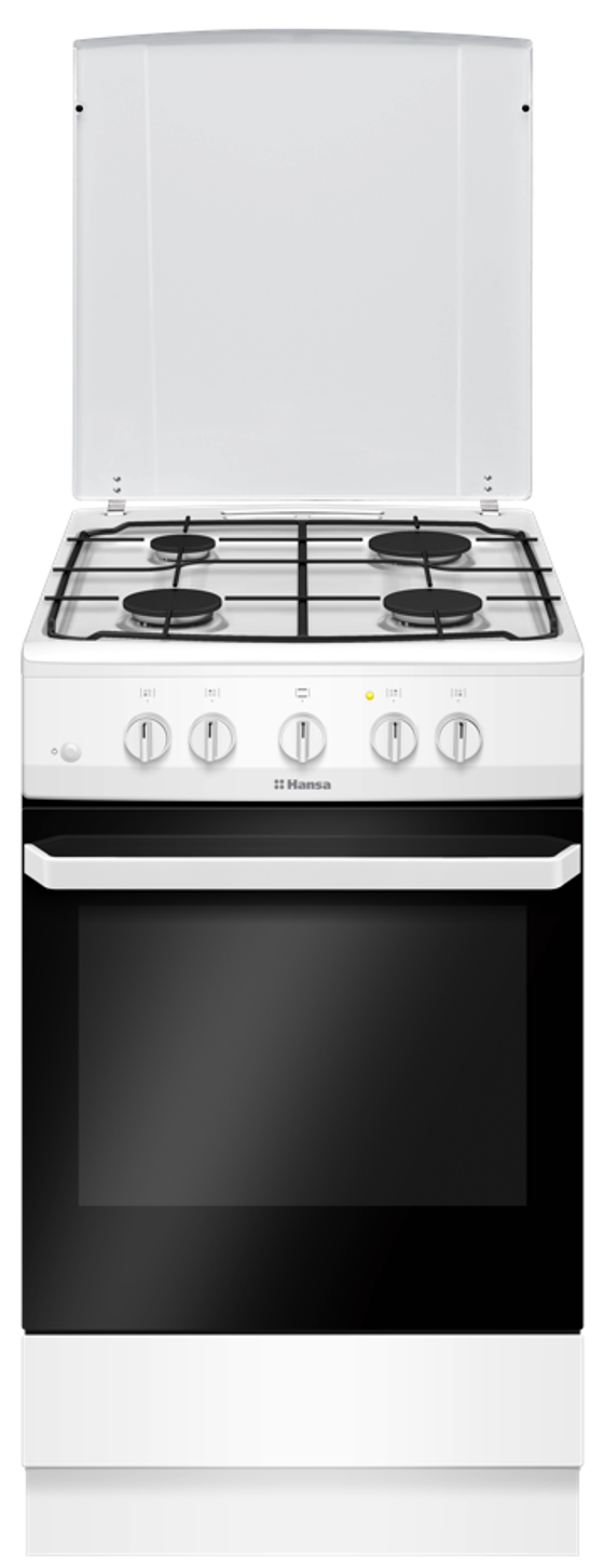 Кухонная плита Hansa FCGW51099