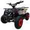 Электроквадроциклы Motax
