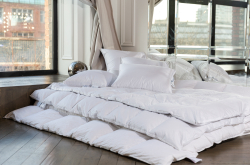 Одеяло пуховое всесезонное German Grass White Familie Down