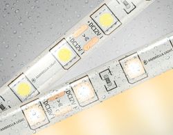Ambrella Светодиодная лента Ambrella Light GS2101 5050 60Led /14.4W m/ 12V IP65 3000K 5m LED Strip 12V GS2101