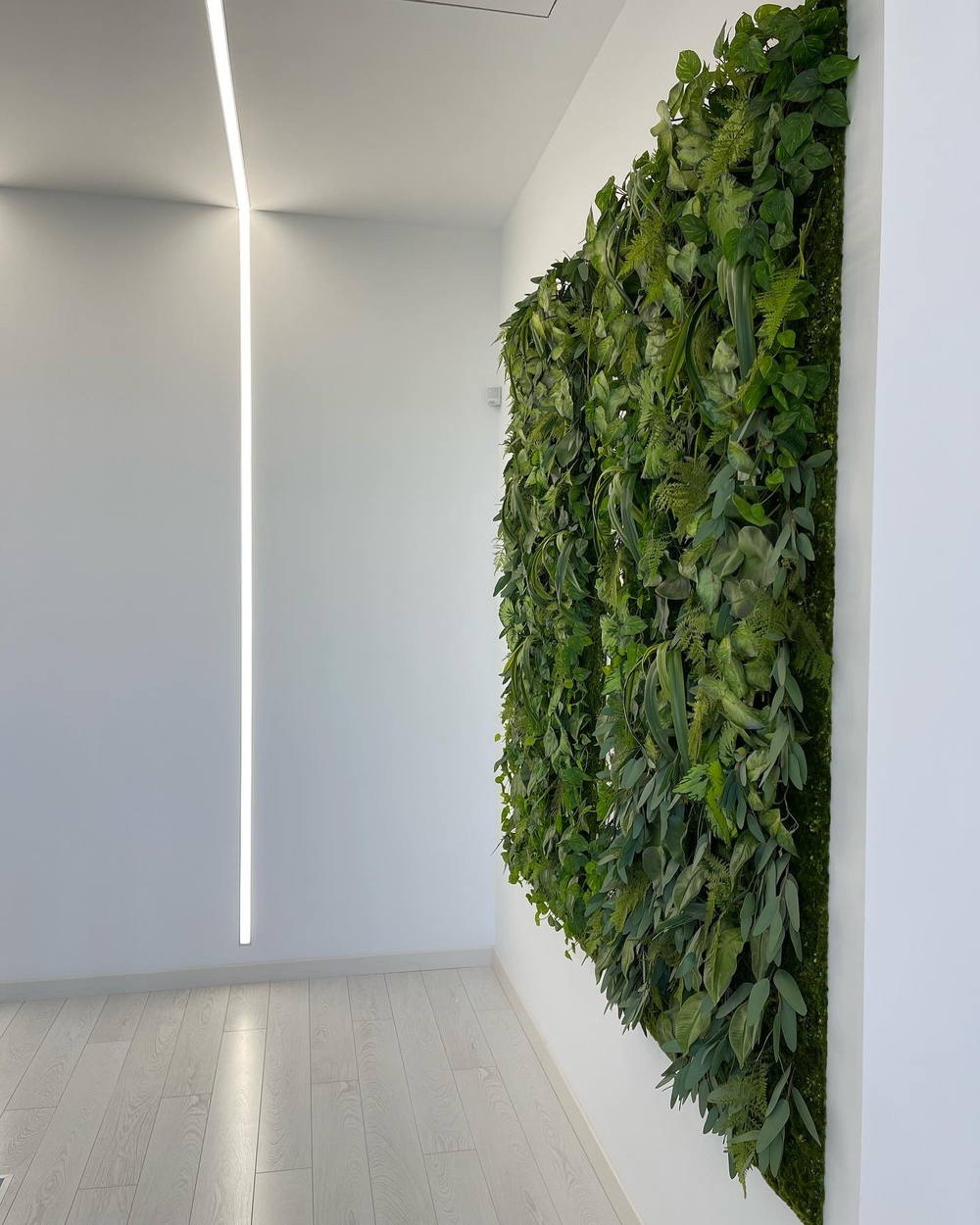 Панно из искусственного мха и растений для частного интерьера.