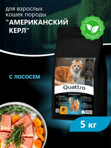 Корм сухой для взрослых кошек породы Американский керл, с лососем, 5 кг, QUATTRO