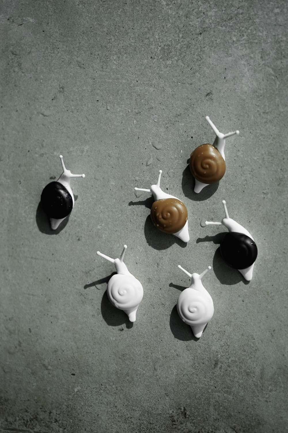 Магниты Snail, 6 шт. Qualy