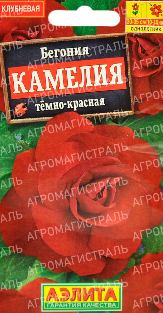 Ком Бегония Камелия темно-красн. Аэлита Ц