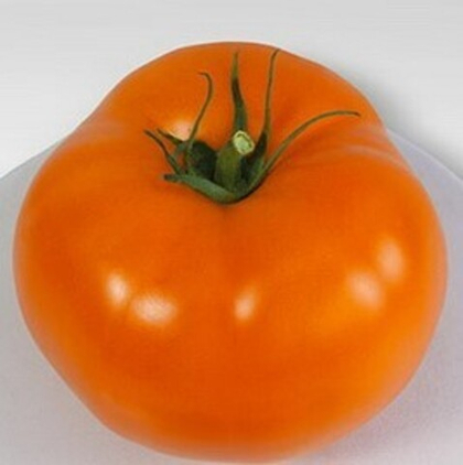 Томат Айсан F1 5шт. (чп)